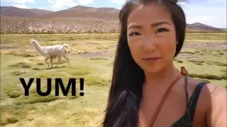 TASTING LLAMA MEAT IN CHILE!