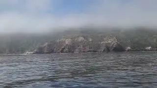 Anticline in Monterey Formation, Santa Cruz Island, May 22, 2025