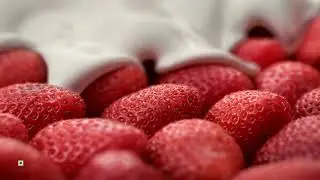 Amul Frozen Yoghurt