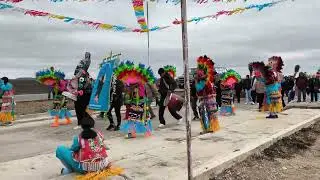 Danza a la virgen de Guadalupe tanque nuevo Zacatecas 2026 arco 
