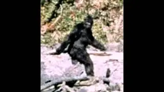 P&eacute; Grande ou Sasquatch e Yeti - #cript&iacute;deos