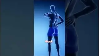 Back pain &ne; age-related.