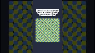 Perception Fails Under Motion