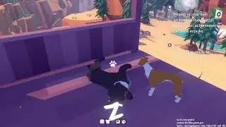 Pupperazzi achievements before it expires