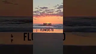 Sometimes... #fyp #shorts #witchcraft #pagan #witchway101 #share #beach #ocean #sunset #subscribe