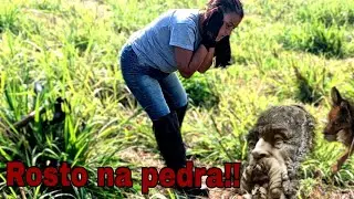 O segredo da carta!😱