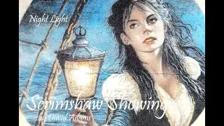Scrimshaw by David Adams - Night Light 2025