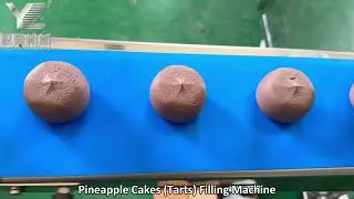 Pineapple Cakes Tarts Filling Machine