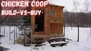 Chicken coop cost building vs buying