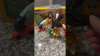 What To Expect Lego Creator 3 in 1 Wild Animals Tropical Toucan 31173 Review
