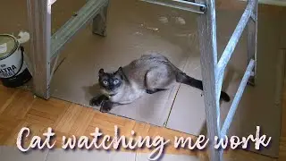 Little helper