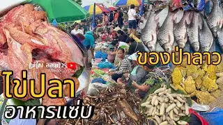 ตลาดนัดไทย-ลาว ธาตุพนม ของป่าลาว แมงจิหล่อ ต่อหัวเสือ อาหารลาว แซ่บ