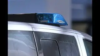 Zwei Senioren sterben bei Baumunfall in Stockstadt am Rhein