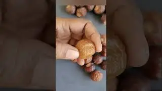 How to buy Good Soapnuts? #shorts