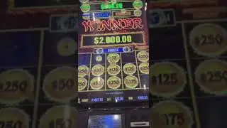 2k Handpay $25 bet #dragonlink #slots #handpay #casino #jackpot #money #bonus #epic #gilariver #win