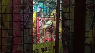 yog Maya or kans