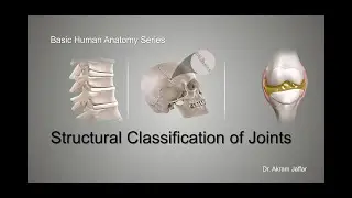 Structural Classification of Joints