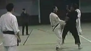 Taekwondo v/s Chiefec