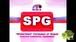 Mtrcb baby turtle g effect promise 