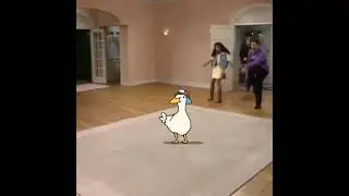 Shuba shuba shuba
