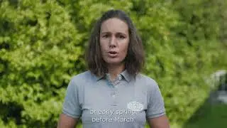 Maintenance of wild shrub hedges