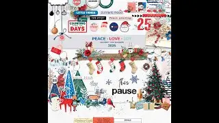 Document Your December 2025 | Coordinated Collection Walkthrough