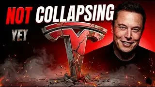 Tesla Is Not Collapsing - And That&rsquo;s the Most Dangerous Part