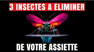 INSECTE COMESTIBLE : 3 raisons de ne plus en manger [poudre d'insectes le reportage]