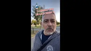 SI TU PERRO TIRA DE LA CORREA...  ⚠️