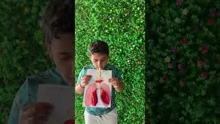 Easy and Awesome Working Lungs Model for kids and Toddlers_ School Project | Science Working Model