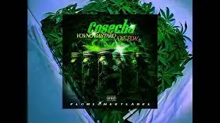 Cosecha - Yovng Bastard FT @AXL.FLW666 