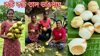আজ বান্ধবী, ভাইয়েরা মিলে গাছ থেকে কচি কচি তাল ভাঙলাম। palm fruit