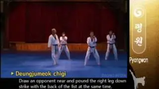 Grand Master Kyu Hyung Lee - WTF Poomsae Pyongwon