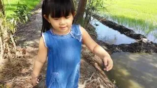 Nhà cố 24/01/2017