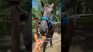 She loves both!! #rescuefarm #rescuehorses