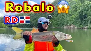 Pesca de Robalo 😱 En r&iacute;o de (🇩🇴Rep&uacute;blica Dominicana 🇩🇴) Bote Inflable 😳🎣