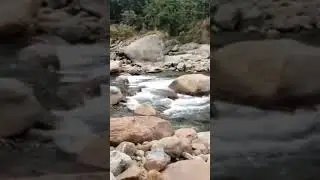 doours trip ❤️#dooars #mountains #river #trip #travel #friends #hindi  #likes #comments #subscribe