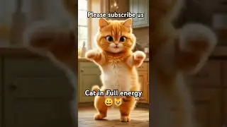 cat dance 😺😀|#usacat #funny #catvideos