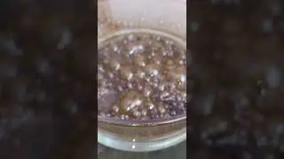Water Bath Purge of Butane Hash Oil