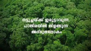 A Trip to Pathiramanal Island | Kerala Tourism | Mathrubhumi