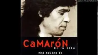 camaron de la isla- al padre santo de roma