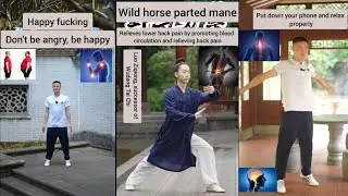 Wild Horse Parts the Mane | Relax, Release Stress & Ease Back Pain with WildHorsePartsTheMane 