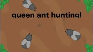 florr.io | queen ant hunting! (feat sandstormer feat ad-kill feat car)