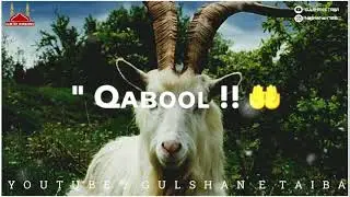 Bakra Eid 😍 Status || Eid-U-Adha Mubarak Status || Eid Status || Naat Status