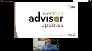 2. Pain relief in sheep and cattle - Professor Bruce Allworth, Charles Sturt University