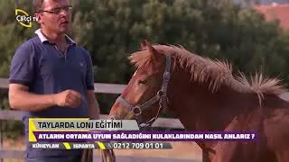 Küheylan - Isparta - Taylarda Lonj Eğitim
