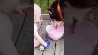 Fun Babies Water Playing time  || Baby Outdoor Videos