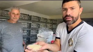 MOSTREI PARA O CILNEY COMO EU FAÇO A FARINHADA ÚMIDA!