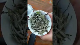What is Bai Mudan white tea?