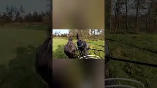 Rijden met de friese 🐴🐴